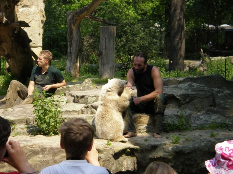 Knut_Juni07_big_20.jpg - und lieber Nuckeln :-))