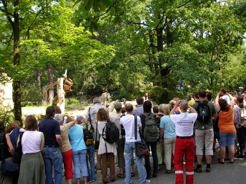 Knut_Juni07_big_31.jpg - hier war ich quasi in der 3. Reihe und sehe Knut deshalb nur mit Glück...