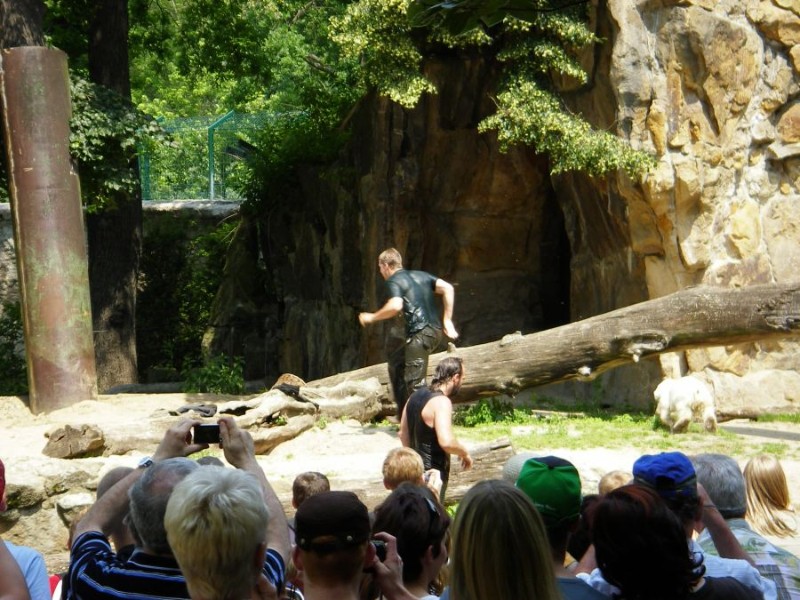 Knut_Juni07_big_35.jpg - nach hinten zur Höhle gehts